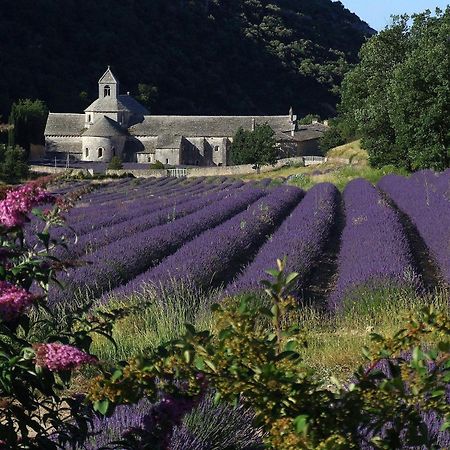 La Calvinette Villa Pernes-les-Fontaines Kültér fotó