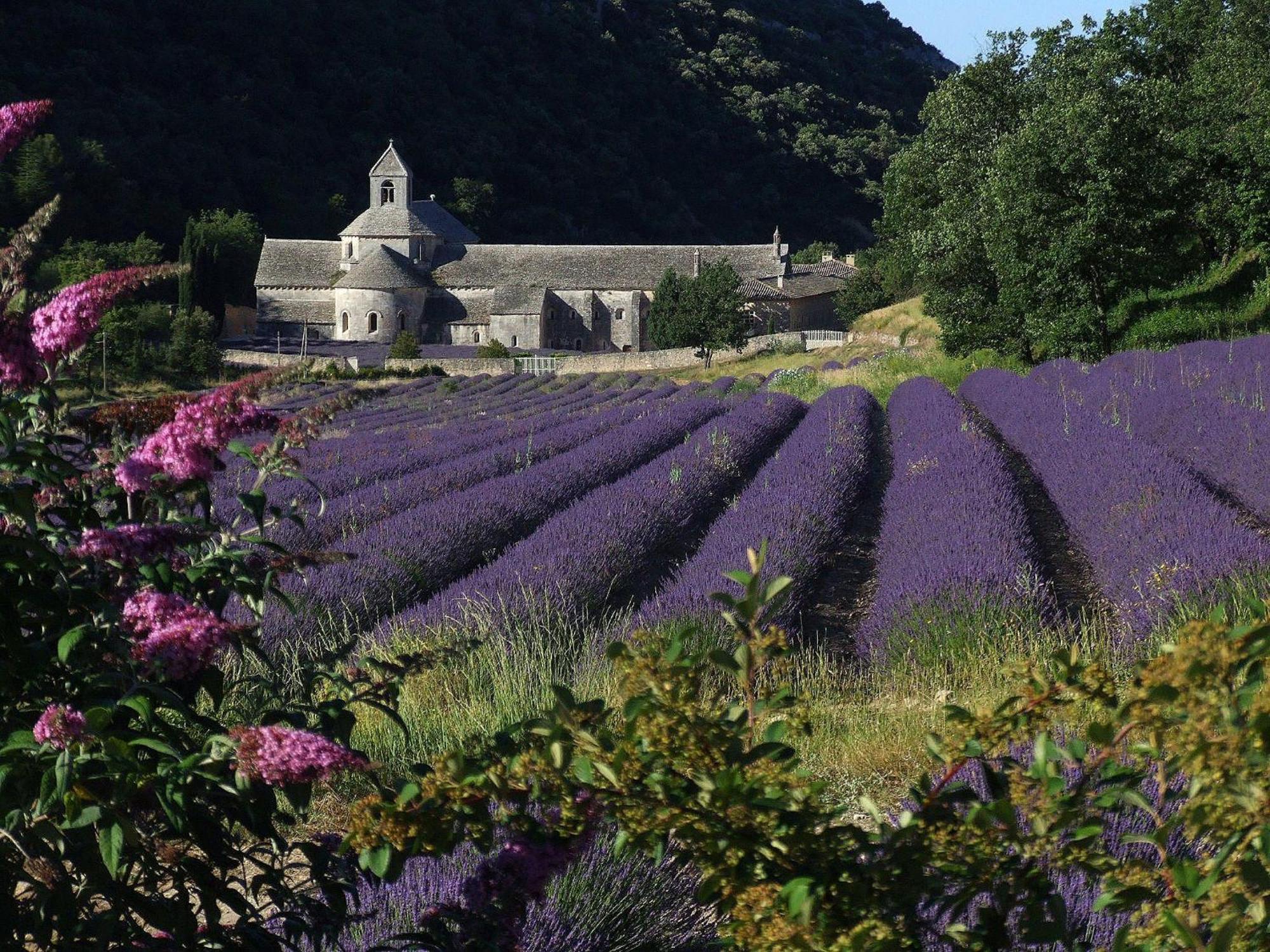 La Calvinette Villa Pernes-les-Fontaines Kültér fotó